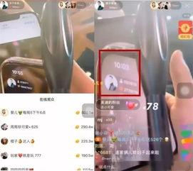 仙家直播爆料视频,爆料视频背后的惊人内幕 第2张 仙家直播爆料视频,爆料视频背后的惊人内幕 第2张